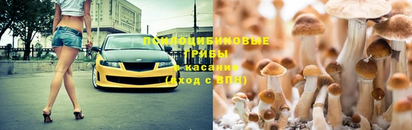 героин Алексин