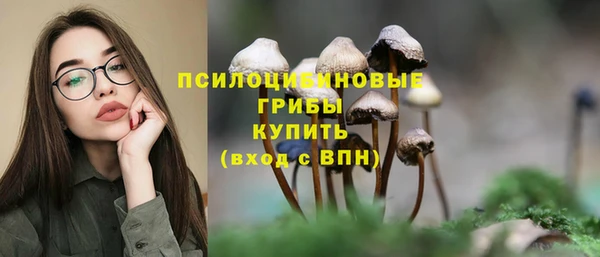 героин Алексин