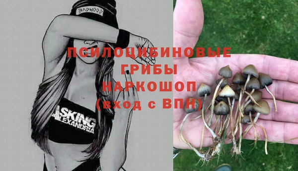 дурь Алексеевка