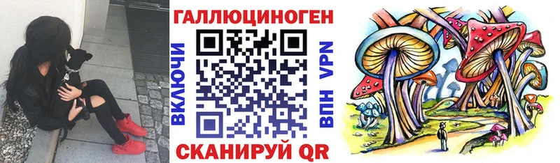 Псилоцибиновые грибы прущие грибы Богданович